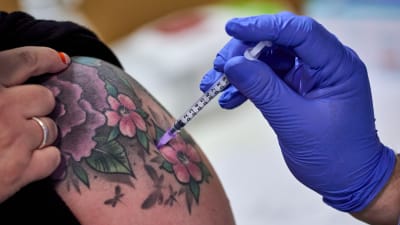 Vaccinationsspruta sticks in i tatuerad arm.