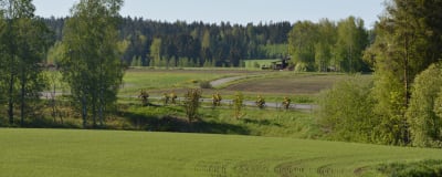 En grupp cyklister i gula dräkter cyklar på en landsväg med gröna fält omkring.