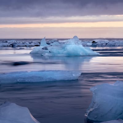 Is vid Arktis som smälter i havet