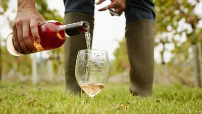 En person som häller vin i ett vinglas. Utomhus på en gräsmatta.