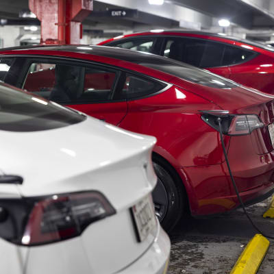 Tesla-bilar på laddning.