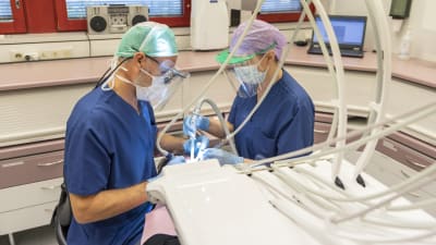 Tandläkare och tandskötare bär munskydd och visir då de jobbar med en patient. 