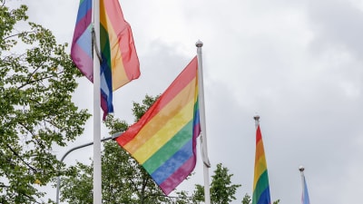 Pride-lippuja liehuu.