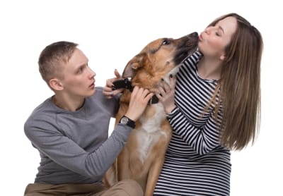 Man och kvinna  med hund, kvinnan pussas med hunden, mannen ser irriterad ut 