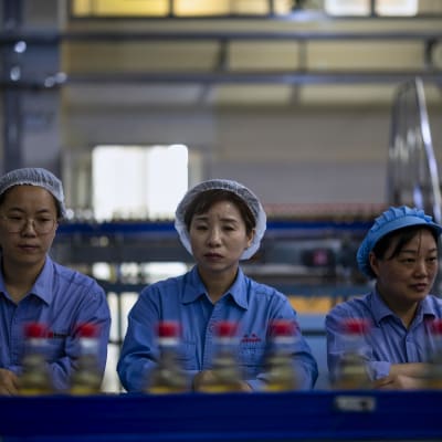 Kinesiska fabriksarbetare stod vid det löpande bandet i en vinägerfabrik i Zhenjiang den 12 oktober. 