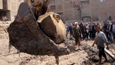 Ett enormt huvud som troligtvis tillhör Ramses II lyfts upp av den grävskopa.