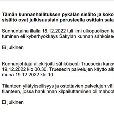 Ote Säkylän kunnanhallituksen pöytäkirjasta.