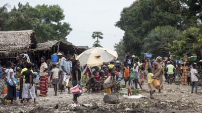 WHO försöker få tag på över 600 människor som kan ha smittats i Mbandaka i Demokratiska Republiken Kongo