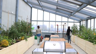 En balkong som är som ett växthus