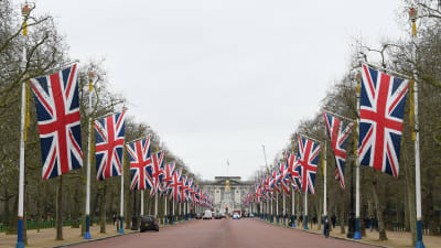 Flaggparad i London inför den stora brexitdagen
