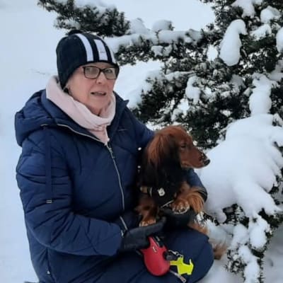 Nainen istuu ruskea mäyräkoira sylissä lumisen marjakuusen vieressä.