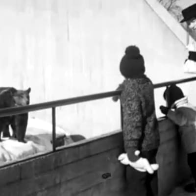 Björnar på Högholmen, 1963