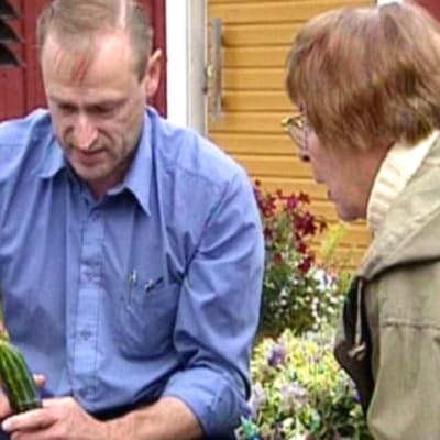 Hans-Anders Lagerström, aagot jung i trädgårdsrutan, 1998