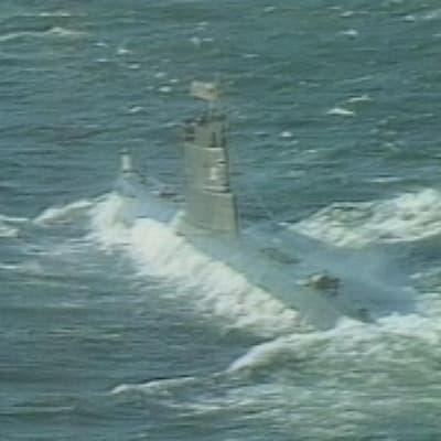 Ubåt, 1981