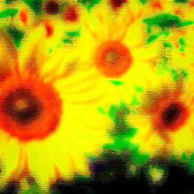auringonkukkia, psykedeelinen versio