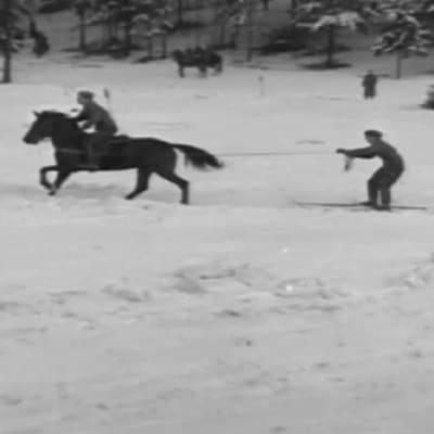 En häst frar en skidåkare efter sig