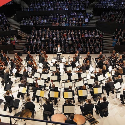 Helsingin kaupunginorkesteri