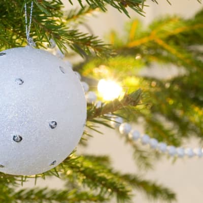 Julgranskula