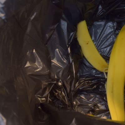 Banaaninkuori roskiksessa