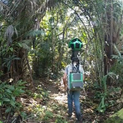 Mies kulkee sademetsässä Steet View -kamera selässään.