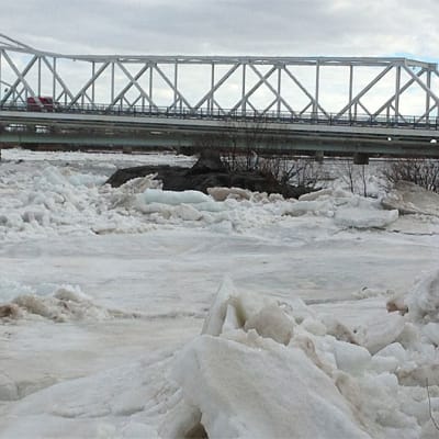 Tornionjoki tulvii