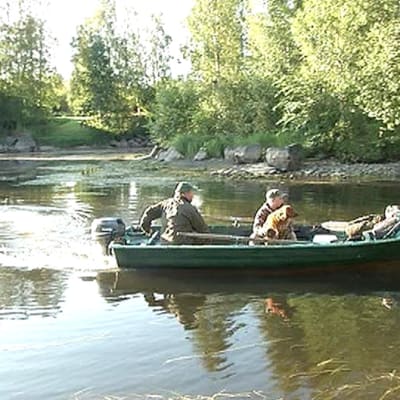 Mies ja poika ja koira lähdössä veneellä metsästämään sorsia.