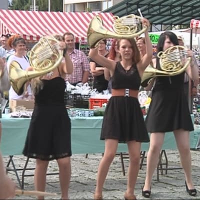 Flash mob Pieksämäellä