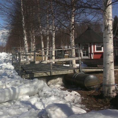Jäätelejä rantasaunan laiturin vieressä kuivalla maalla Itäkoskella Keminmaassa.