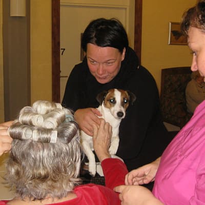 Hoivakodin asiakkaalle laitetaan rullat päähän ja koirakin on mukana hoitotilanteessa