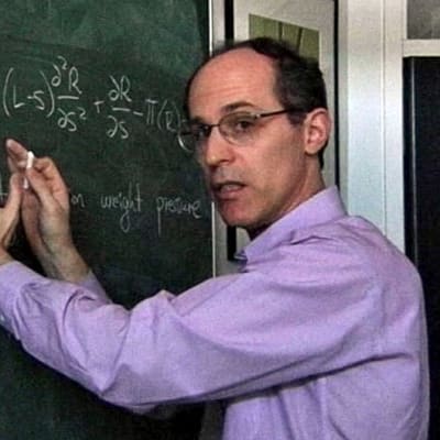 Professori Ray Goldstein esittelee työtoveriensa kanssa kehittelemäänsä poninhäntien matemaattista kaavaa.