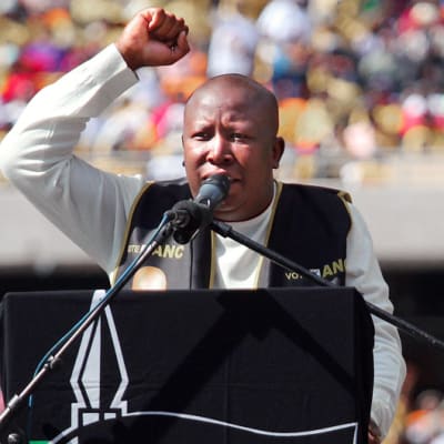 Julius Malema