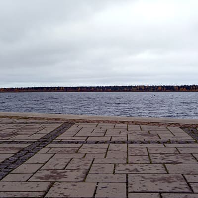 Selkäsaari Kemissä