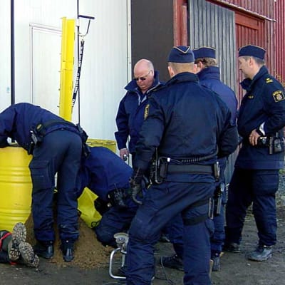 Poliisi irroitti tiistaina Greenpeace-aktivisteja perunavaraston ovesta Ruotsin Alavojakkalassa.