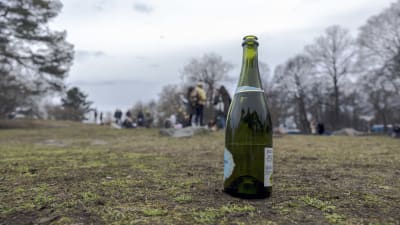 En flaska skumvin i Brunnsparken den 1 maj 2023. I bakgrunden grupper av människor.
