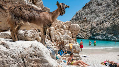 En get ser på folk som solar på en strand i Kreta