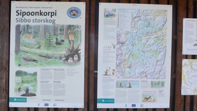 Anslagstavla för Sibbo storskogs nationalpark