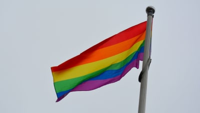 Regnbågsflagga