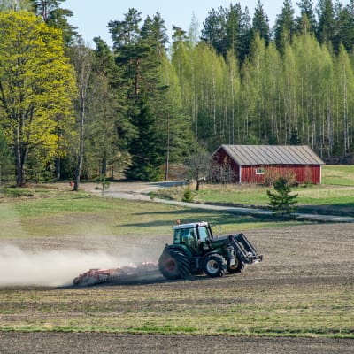 Traktori kyntämässä peltoa keväällä.