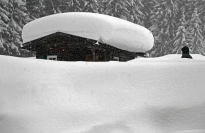 En person omgiven av ett tjockt snötäcke i Ramsau am Dachstein i Österrike.
