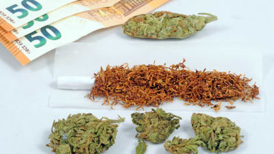 Cannabis som kan rökas