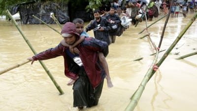 Över 430 000 rohingyer har flytt till grannlandet Bangladesh sedan den 25 augusti  