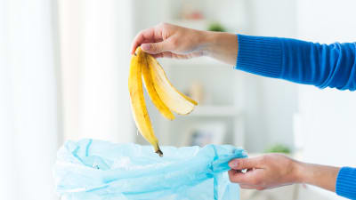 En hand håller i en soppåse och slänger i ett bananskal.