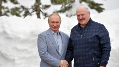 Rysslands president Vladimir Putin och Belarus president Aleksandr Lukasjenko skakar hand och tittar båda mot kameran.