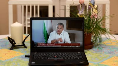 Premiärminister Viktor Orban höll ett tv-tal den 9 april där han meddelade om förlängda virusrestriktioner. Här följer man med talet på en laptop i en bostad i Budapest. 