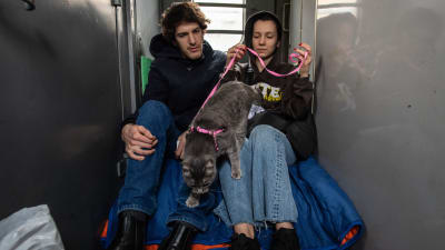 Två personer sitter med sin katt i koppel på ett tåg. 