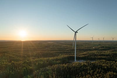 Solen ligger lågt över skogen vid OX2 Metsälamminkangas vindpark i Vaala. 