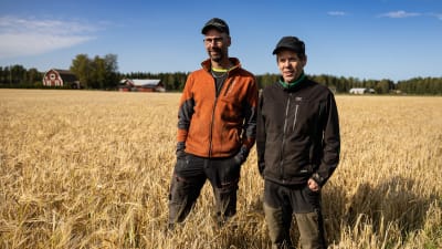 Porträttfoto av två män i kornfält