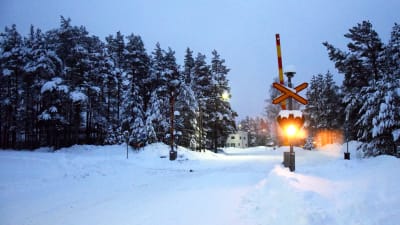 En plankorsning där ljusanordningen lyser. Bommarna är uppe. Marken är täckt av snö.