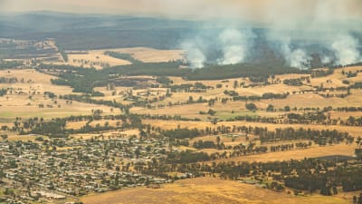 Skogsbränderna hotar småstäder som Orbost i delstaten Victoria 