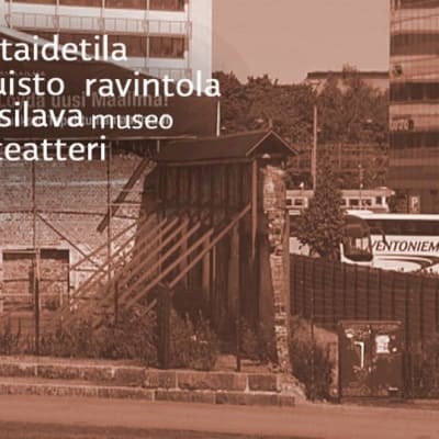 Ylen kyselyssä käyttötarkoituksia makasiineille löytyi monia erilaisia.